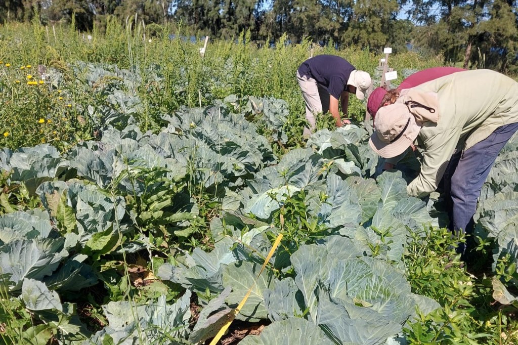 Reducing Tillage for Better Soil in&nbsp;Uruguay