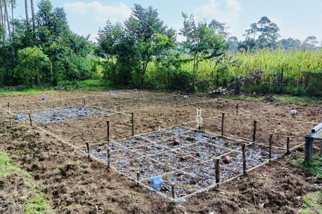 Eco2librium's extensive field test - Can Farming Reduce Global Textile Waste?