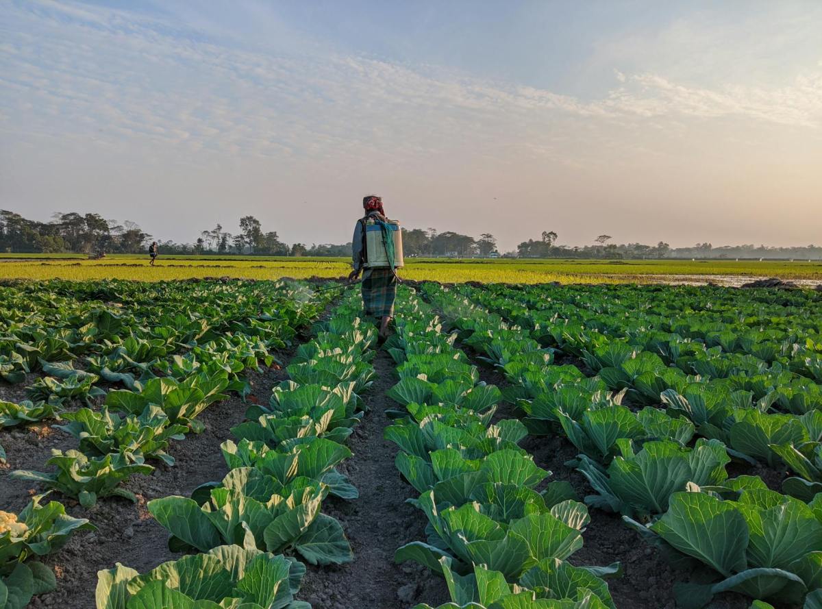Rural Honduran farmers need better access to agricultural&nbsp;information