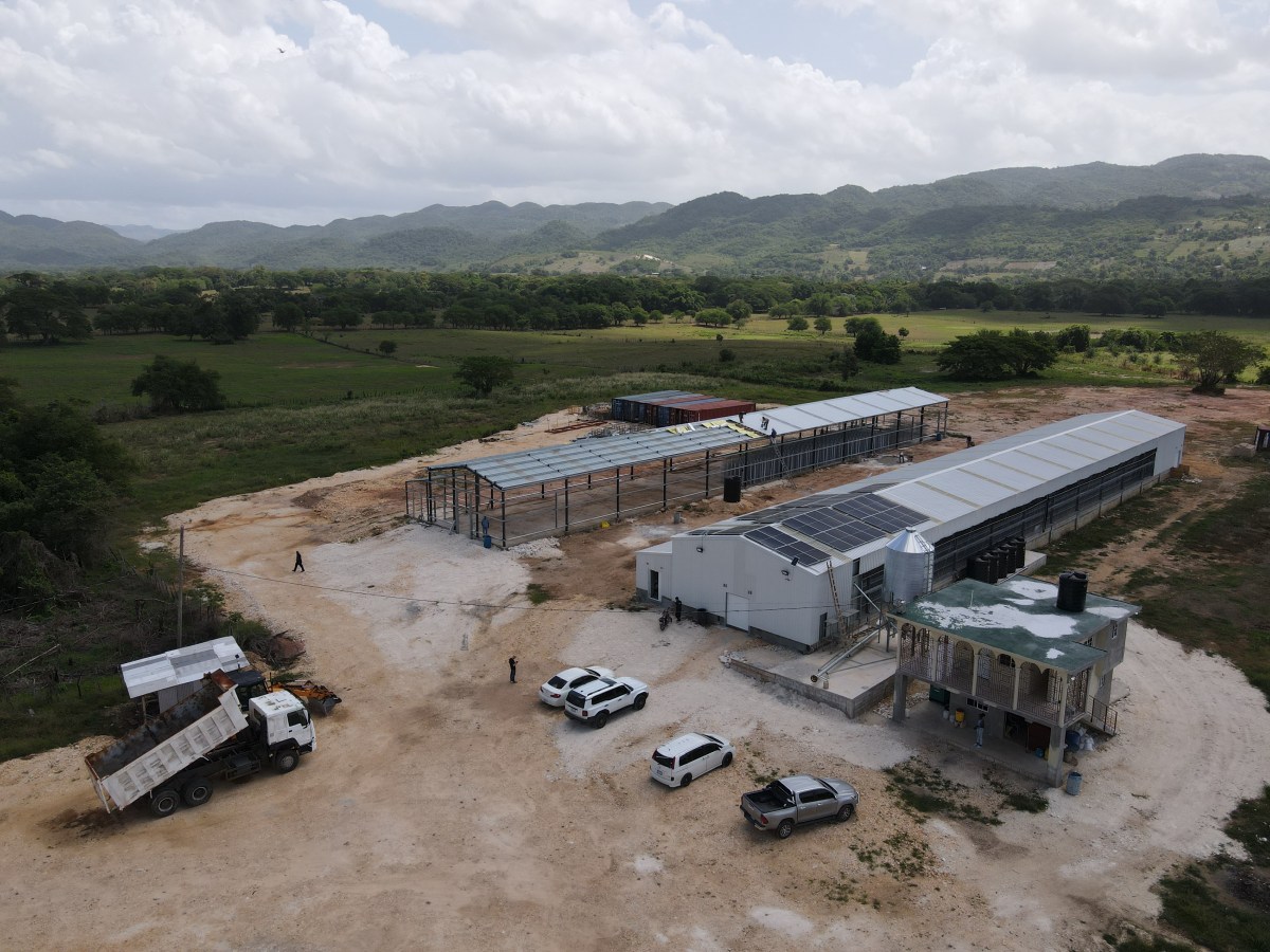 Jamaica Unveils First Fully Automated Egg-Laying Facility in the&nbsp;Caribbean