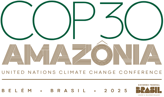 Experts Weigh In on COP30: What Worked, What Fell Short, and What Comes&nbsp;Next
