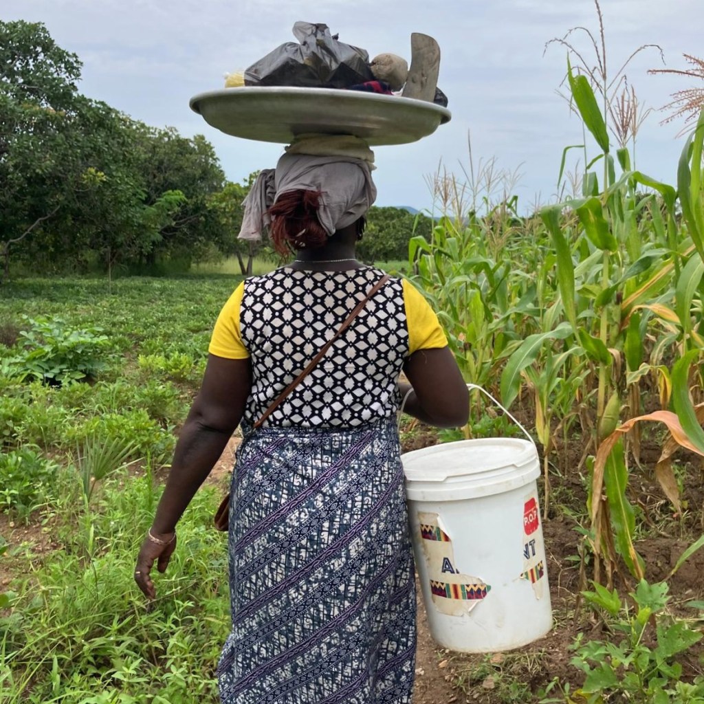 Tchilalo Tchariè photo in the farm in Togo
