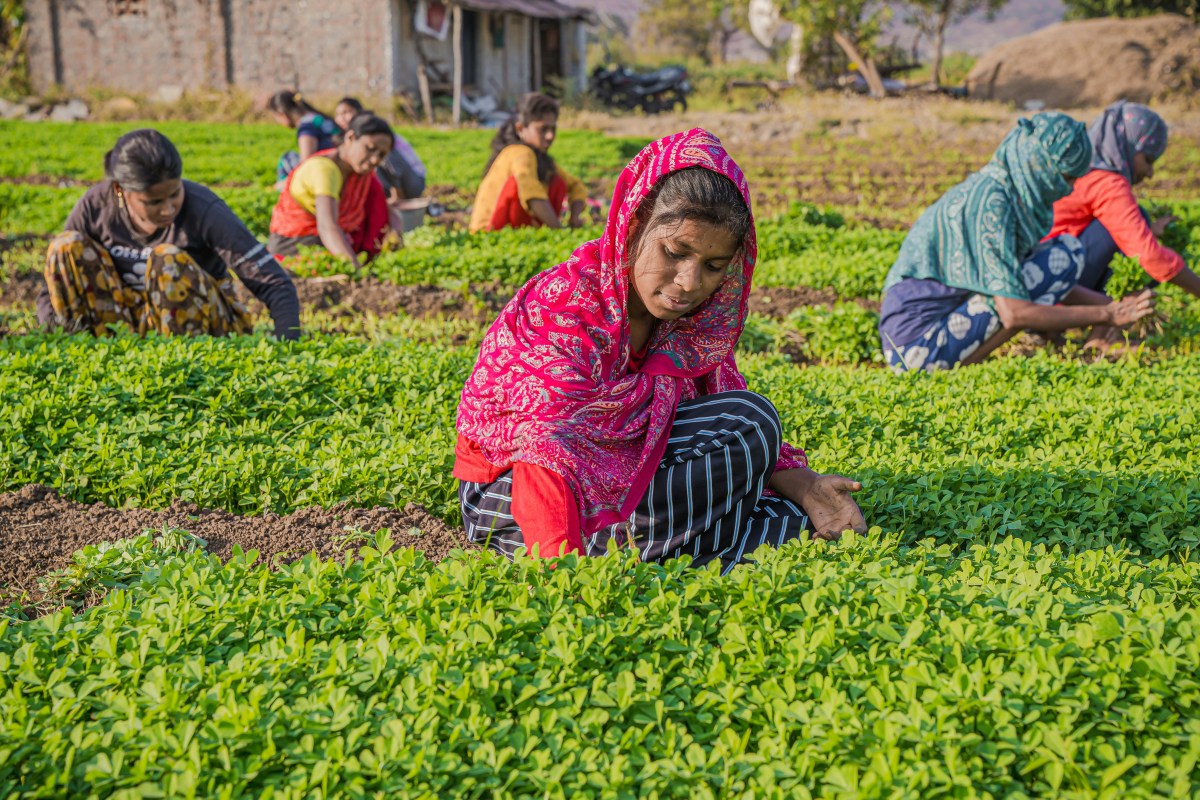 Why 2026 Is the International Year of the Woman&nbsp;Farmer