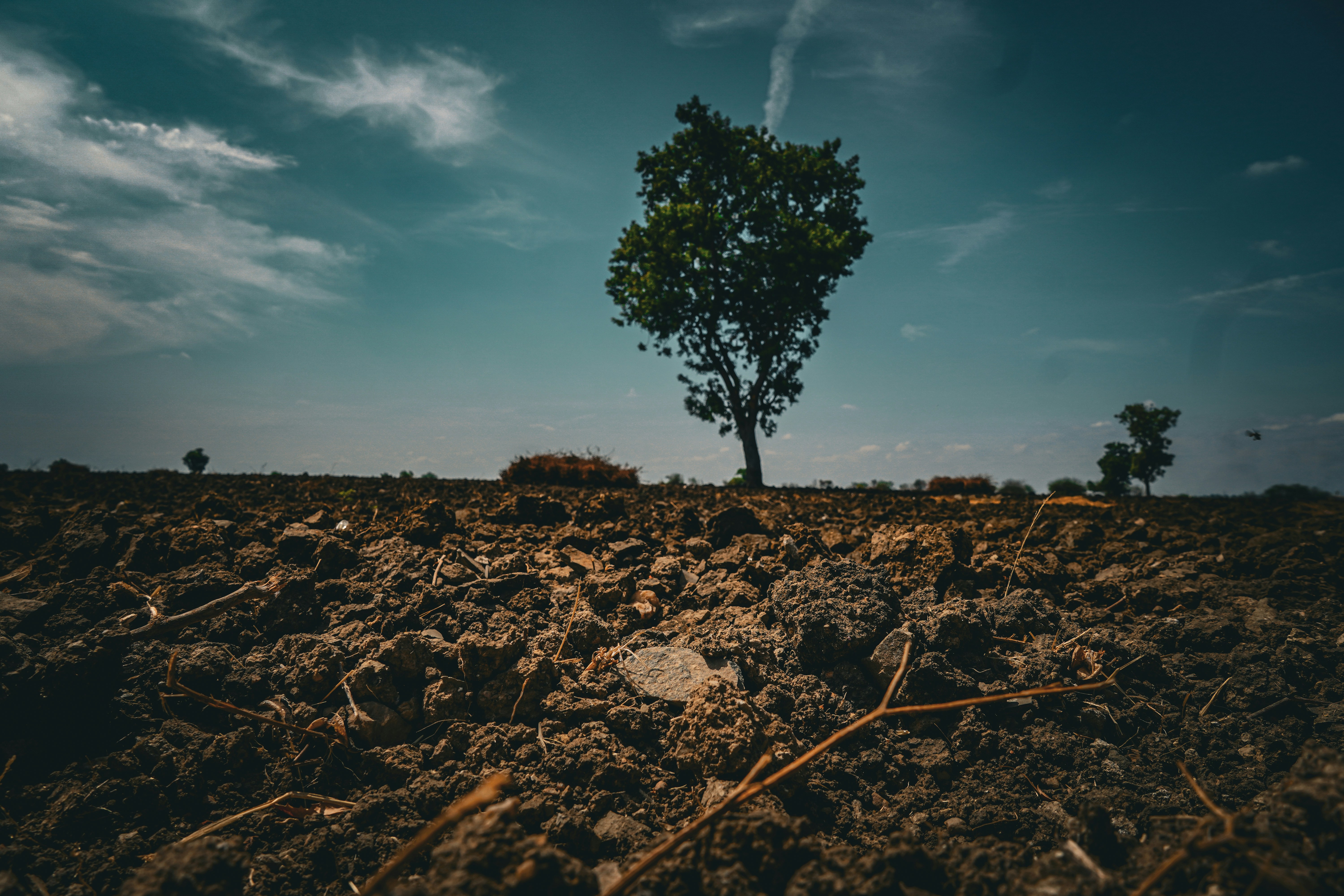 What the Dirt Knows: On Soil, Loss, and the Cycles That Carry&nbsp;Us