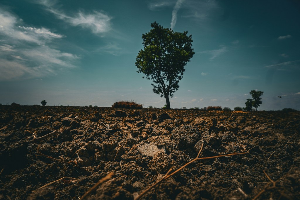 What the Dirt Knows: On Soil, Loss, and the Cycles That Carry&nbsp;Us