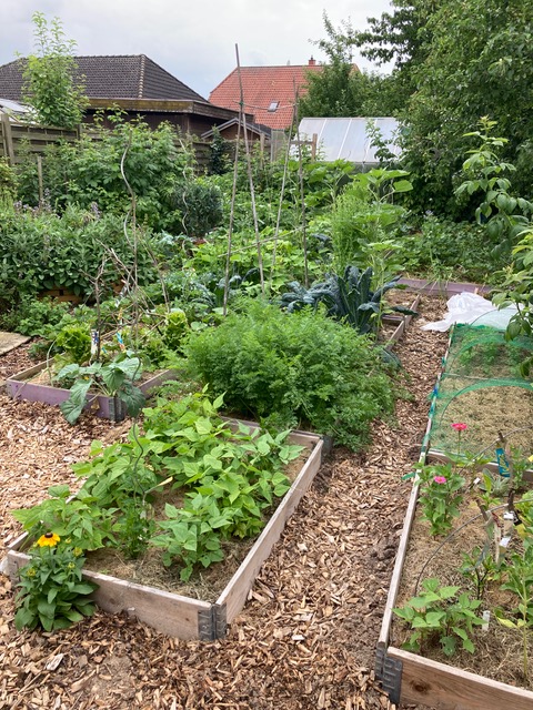 Tini Vogt farm photo