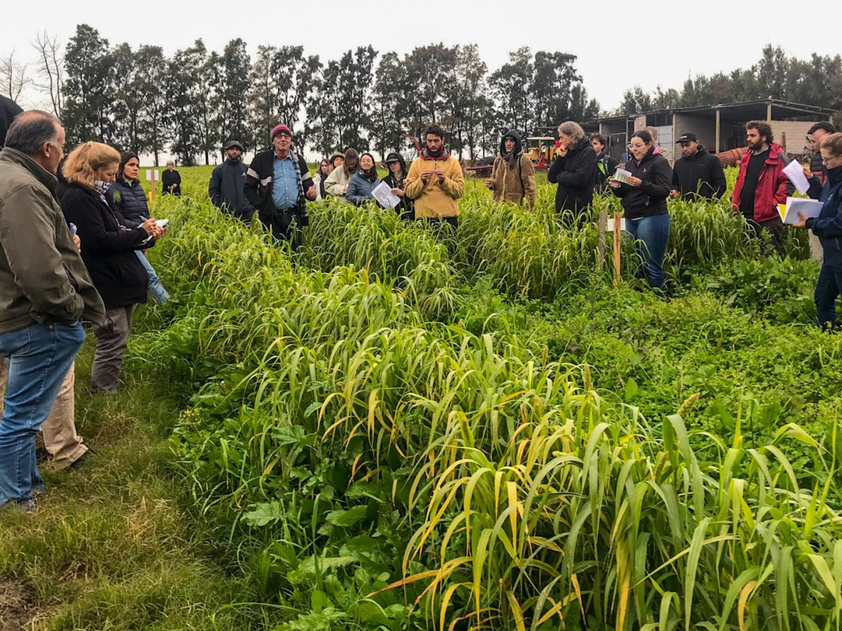 How Transformative Social Learning Can Foster Change in Small-Scale&nbsp;Agriculture