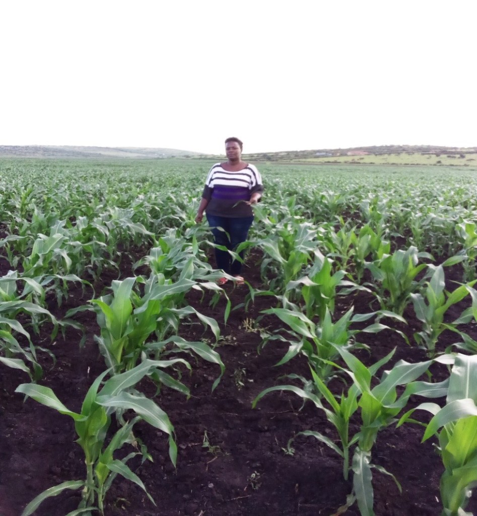 Norah Kamashazi from Rwanda farm photo 2